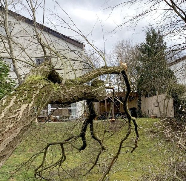 Sturmschaden
