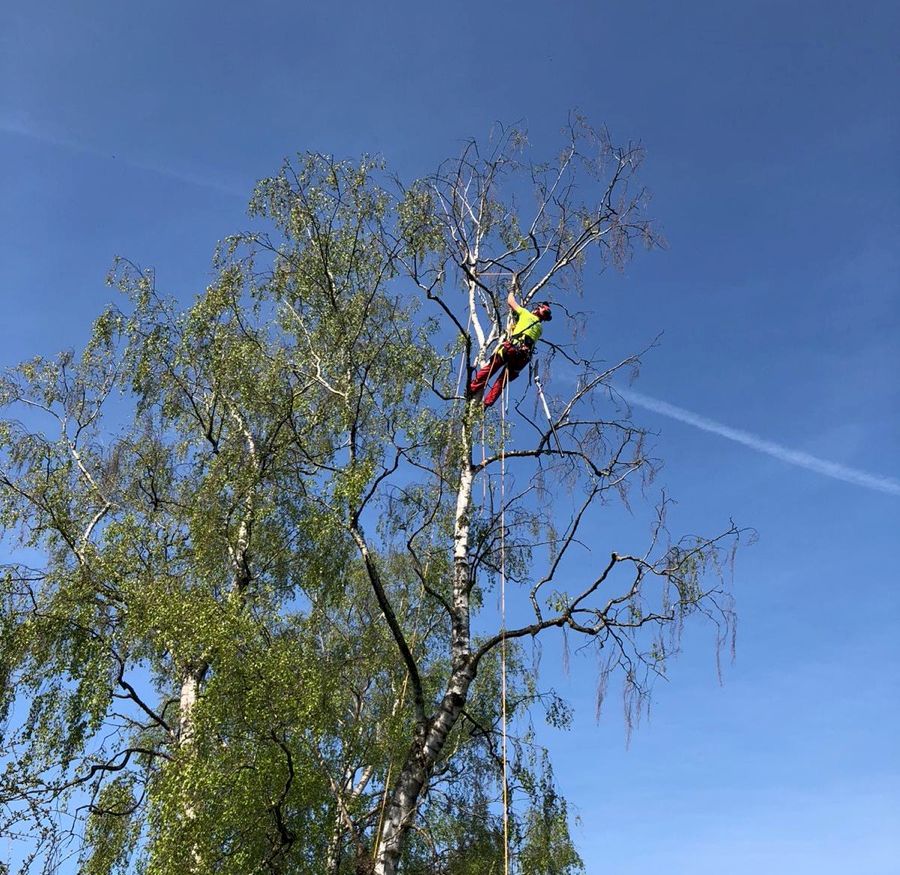 Seilklettertechnik