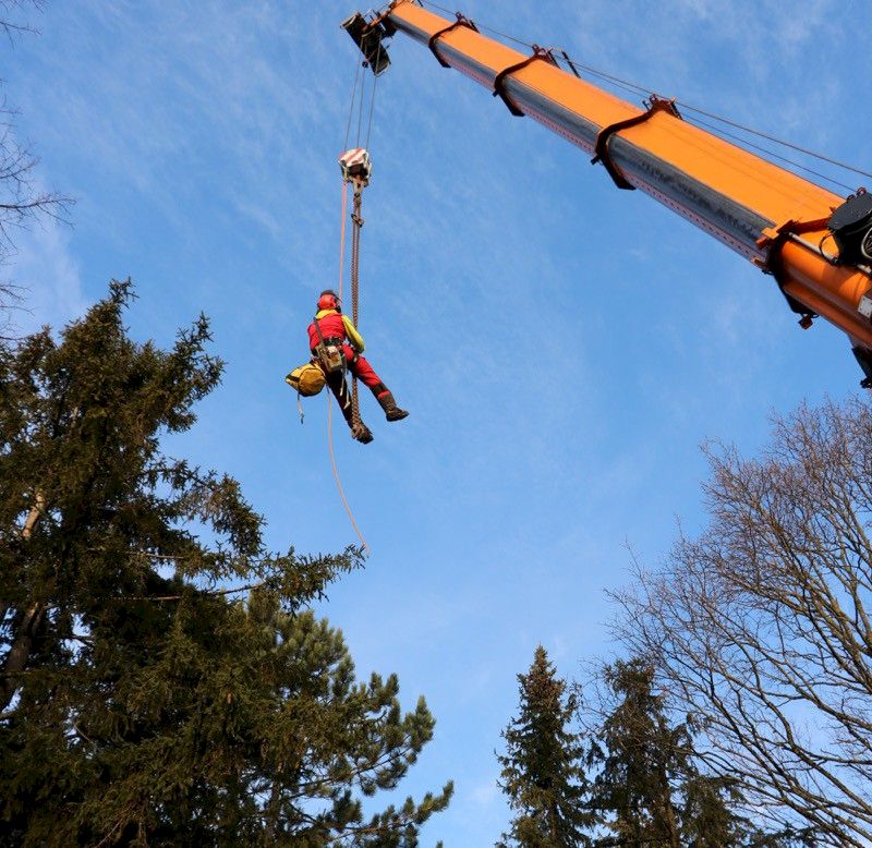 Seil- und Klettertechnik